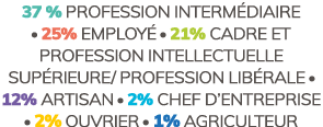 37 % profession interm diaire  25% employ  21% cadre et profession intellectuelle sup rieure/ profession lib rale ...