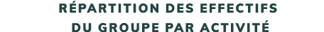 R partition des effectifs du groupe par activit 